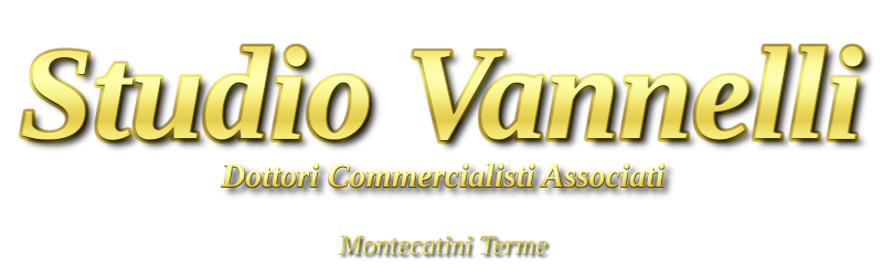 Logo Studio Vannelli